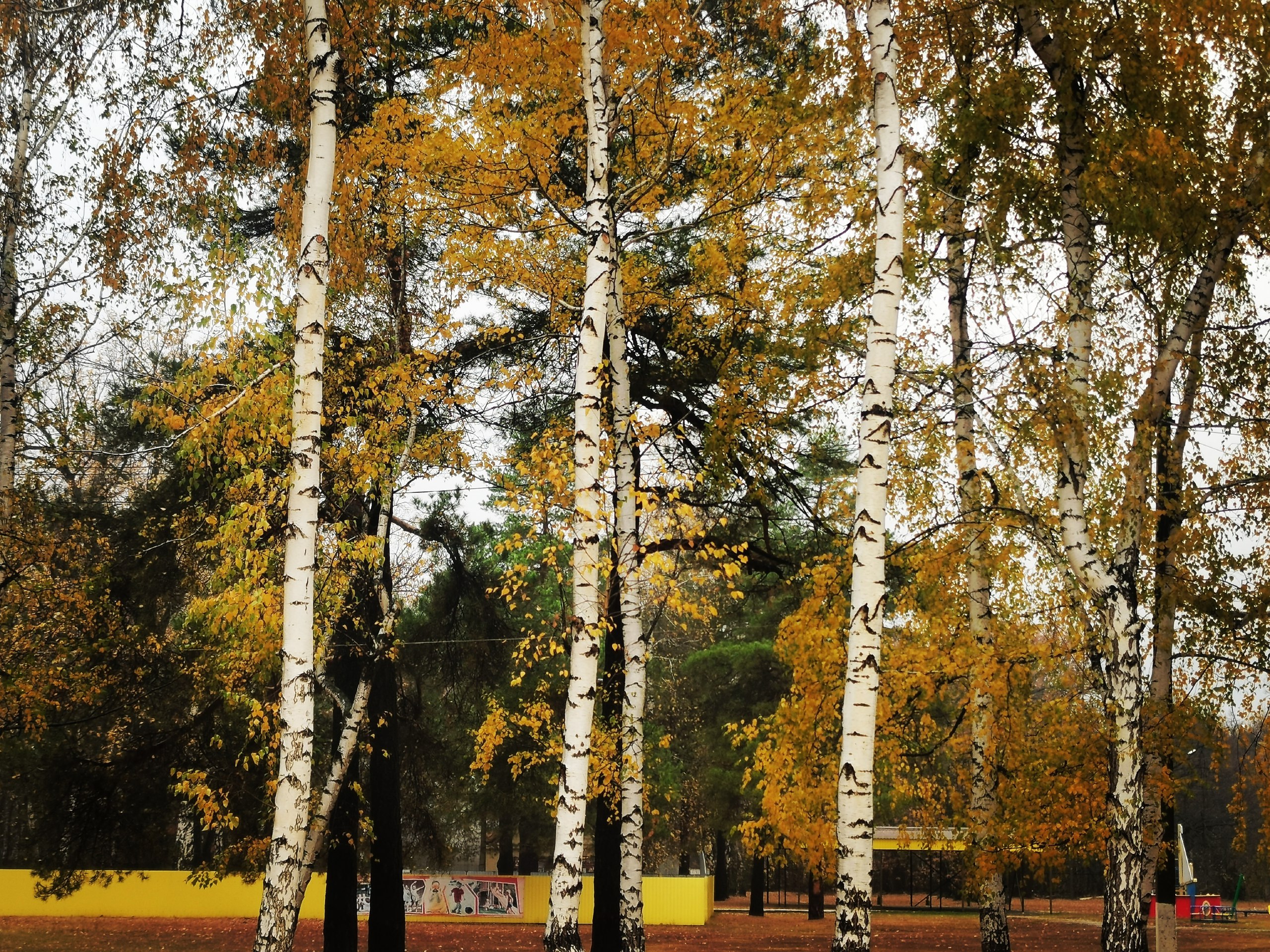 Осень — не время для спячки!