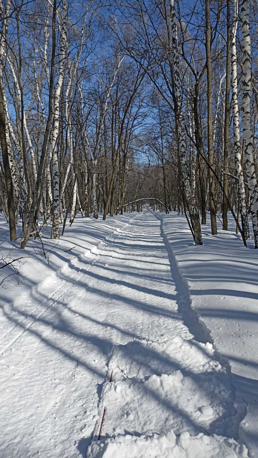 Последние снежные денечки)